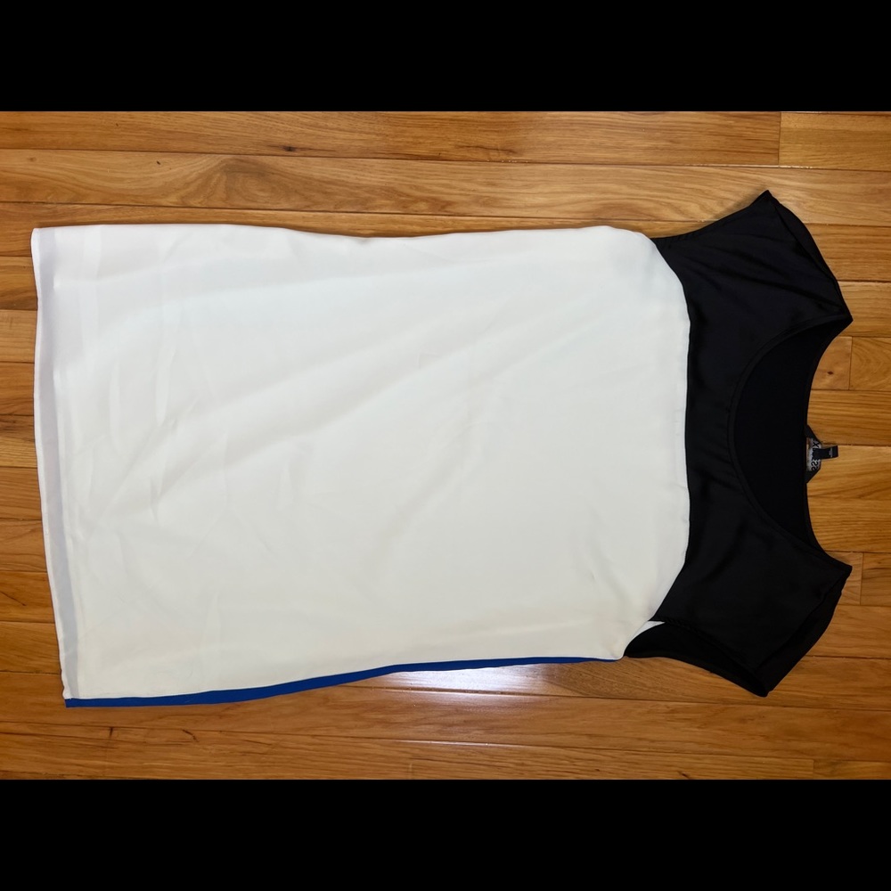 Express Blue and White Dress